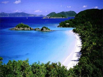 trunk bay on st john usvi