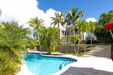 Pool and palm trees
