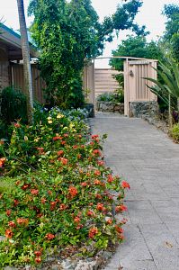 front walkway