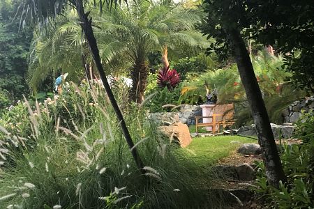 Pampas Grass Garden